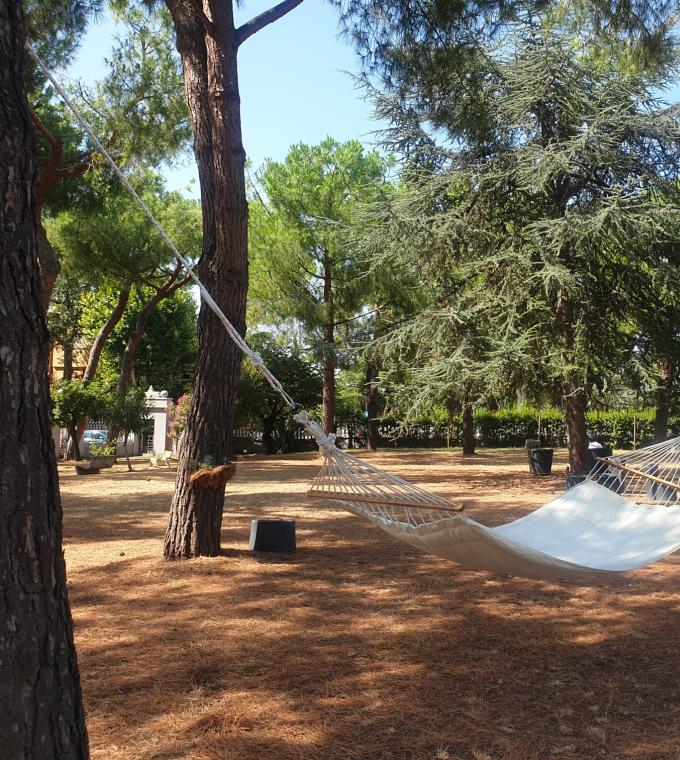 Amaca sospesa tra alberi in un parco ombreggiato.