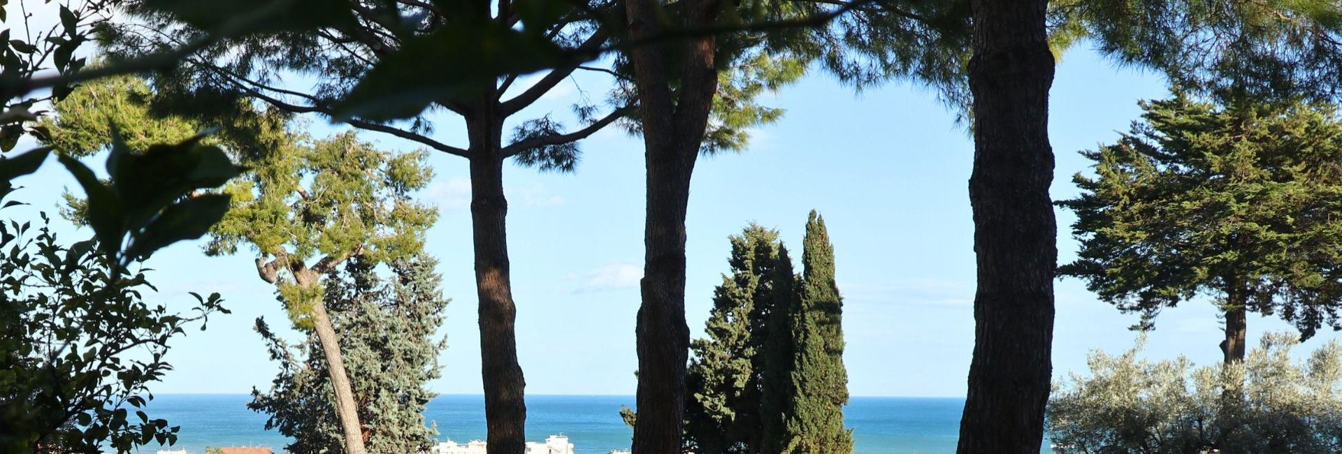 Sentiero verso il mare con alberi e cespugli.