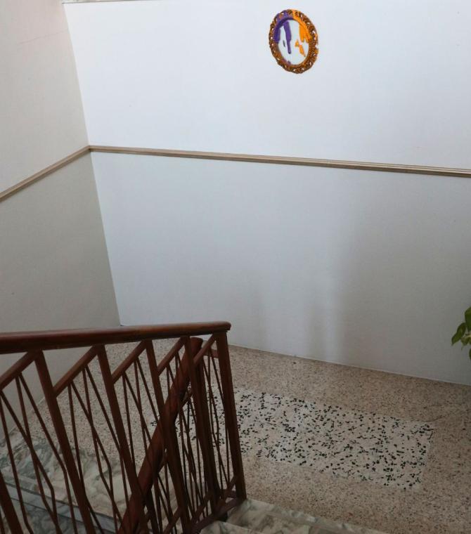 Scala interna con ringhiera in legno e pianta decorativa.
