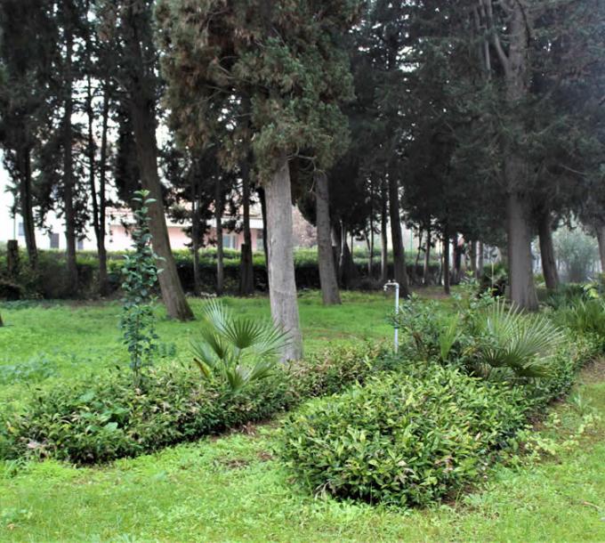 foresteriagiulianova en hostel 004